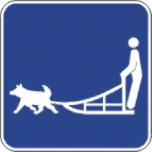 Randonnée en traîneaux à chiens