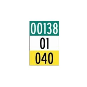 Plaquette d'inventaire route-troncon-section