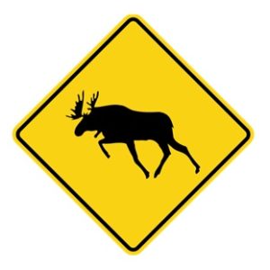 MOOSE CROSSING